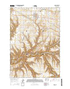 2014 Map of Condon, 2014 Print