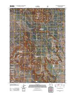 2011 Map of Cooks Mountain, 2011 Print