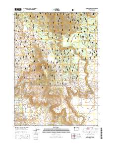 2014 Map of Cooks Mountain, 2014 Print