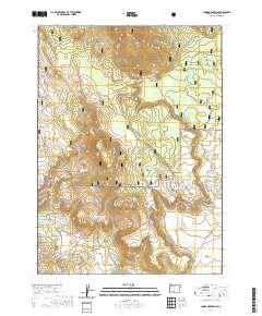 2020 Map of Cooks Mountain, 2020 Print