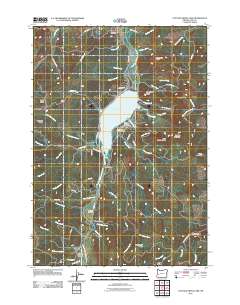 2011 Map of Cottage Grove Lake, 2011 Print