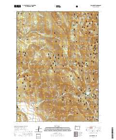 2020 Map of Cougar Peak, 2020 Print