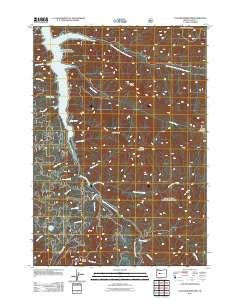 2011 Map of Cougar Reservoir, 2011 Print