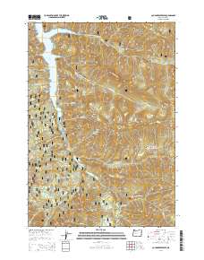 2014 Map of Cougar Reservoir, 2014 Print