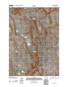 2011 Map of Cox Canyon, 2011 Print