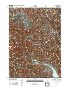 2011 Map of Cox Flat, 2011 Print