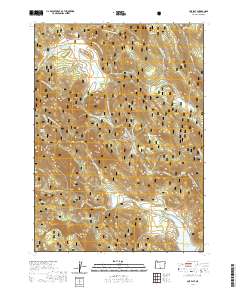 2020 Map of Cox Flat, 2020 Print