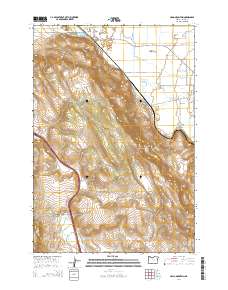 2014 Map of Craig Mountain, 2014 Print