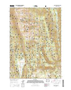 2014 Map of Crane Prairie, 2014 Print