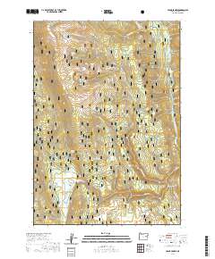 2020 Map of Crane Prairie, 2020 Print