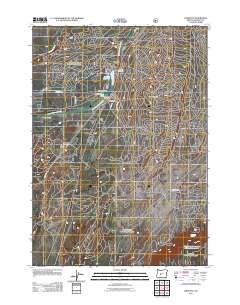 2011 Map of Crescent, 2011 Print