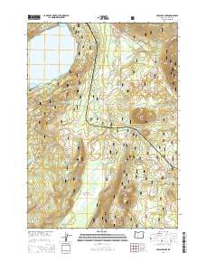 2014 Map of Crescent Lake, 2014 Print