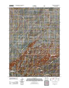 2011 Map of Crescent NE, 2011 Print