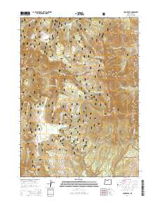 2014 Map of Crook Peak, 2014 Print