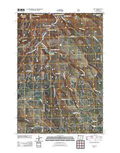 2011 Map of Dale, 2011 Print