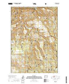 2020 Map of Dale, 2020 Print