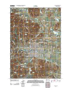 2011 Map of Dallas, 2011 Print