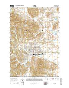 2014 Map of Dallas, 2014 Print