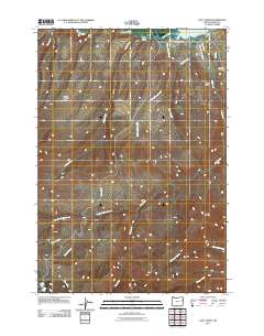 2011 Map of Daly Creek, 2011 Print