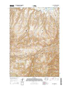 2014 Map of Daly Creek, 2014 Print