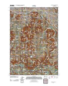 2011 Map of Damascus, 2011 Print