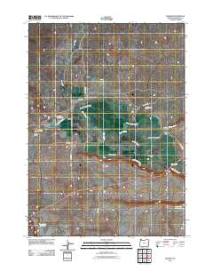 2011 Map of Danner, 2011 Print