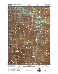 2011 Map of Dayville, 2011 Print