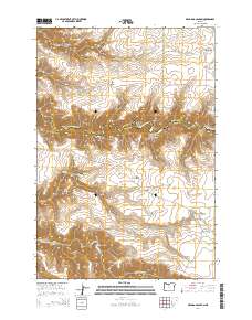 2014 Map of Dead Dog Canyon, 2014 Print