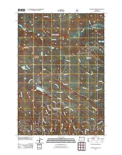 2011 Map of Deadman Point, 2011 Print