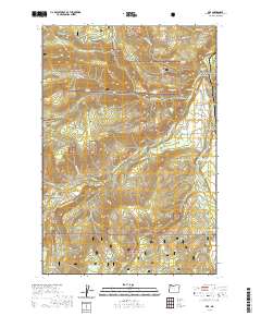 2020 Map of Dee, 2020 Print