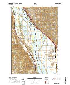 2020 Map of Deer Island, 2020 Print