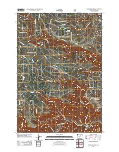 2011 Map of Deerhorn Creek, 2011 Print