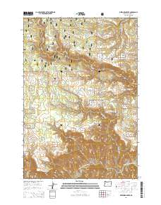 2014 Map of Deerhorn Creek, 2014 Print