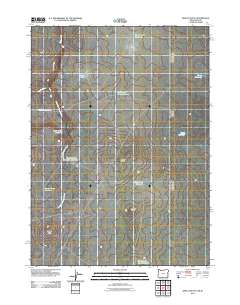 2011 Map of Defeat Butte, 2011 Print