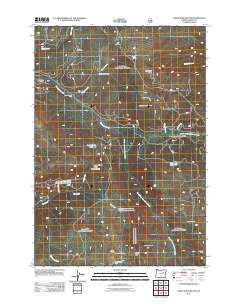 2011 Map of Desolation Butte, 2011 Print