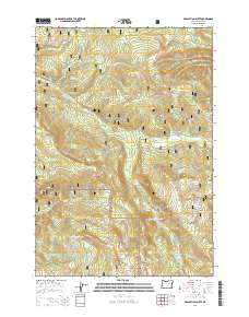 2014 Map of Desolation Butte, 2014 Print