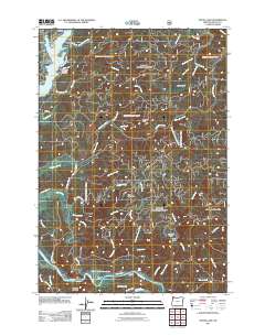 2011 Map of Devils Lake, 2011 Print