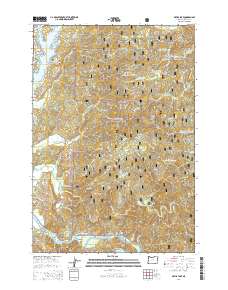 2014 Map of Devils Lake, 2014 Print