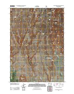 2011 Map of Devine Ridge South, 2011 Print