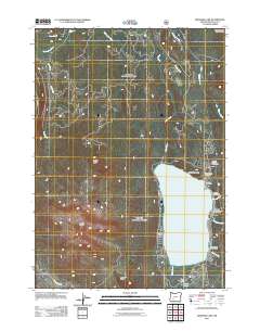2011 Map of Diamond Lake, 2011 Print