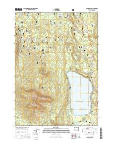 2014 Map of Diamond Lake, 2014 Print