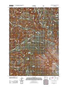 2011 Map of Diamond Peak, 2011 Print