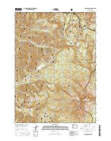 2014 Map of Diamond Peak, 2014 Print