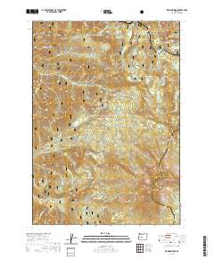2020 Map of Diamond Peak, 2020 Print