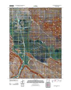 2011 Map of Diamond Swamp, 2011 Print