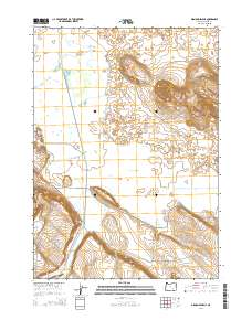 2014 Map of Diamond Swamp, 2014 Print