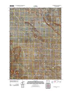 2011 Map of Dickerson Flat, 2011 Print
