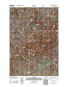 2011 Map of Dixie Meadows, 2011 Print