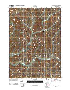 2011 Map of Dodson Butte, 2011 Print