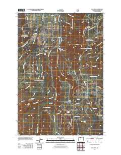 2011 Map of Dog River, 2011 Print